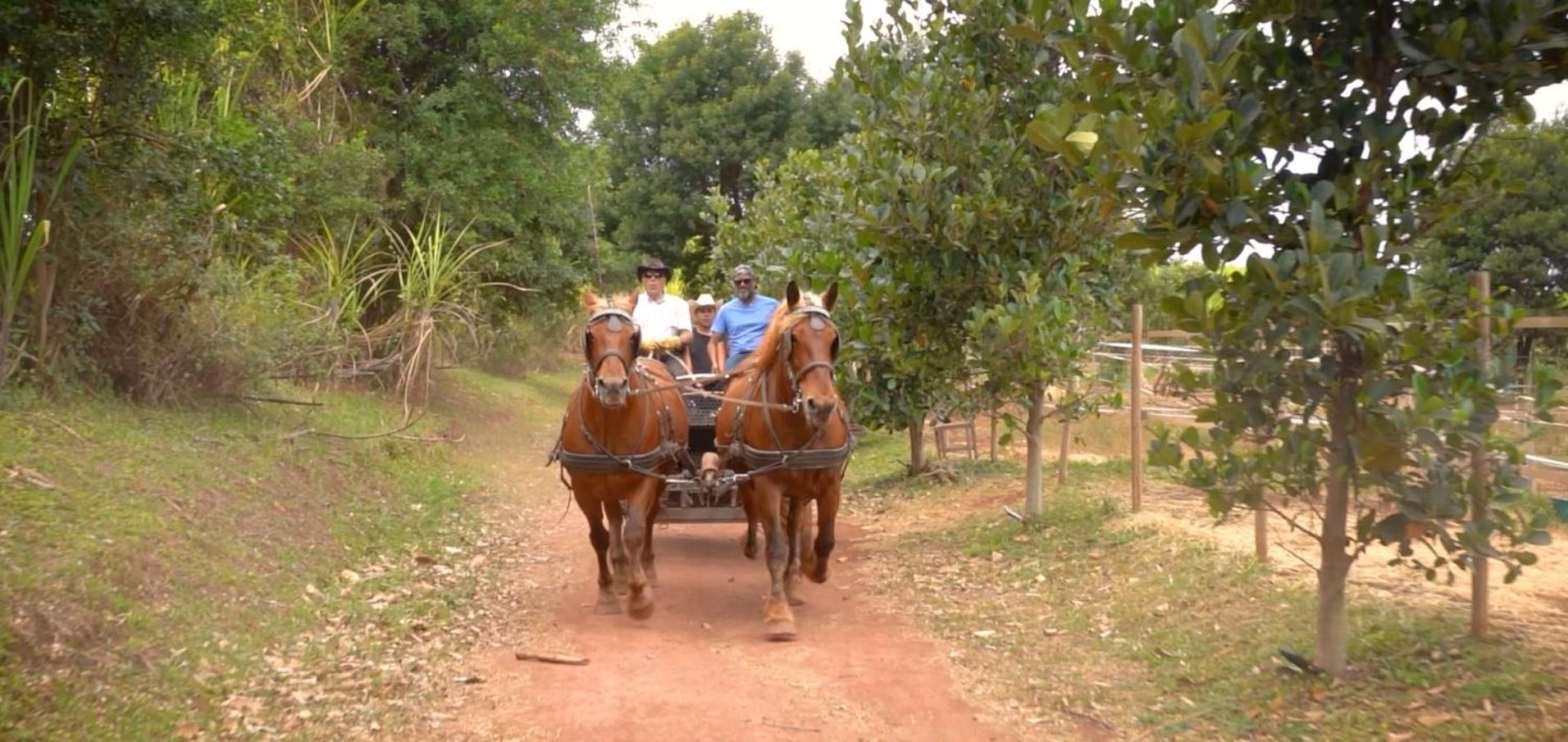 Gadiamb City Saint Pierre Ngoại thất bức ảnh